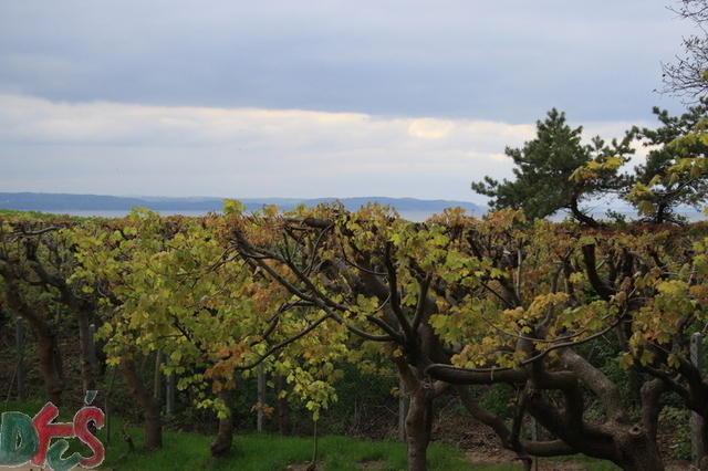 Widok na morze z promenady na bunkrach