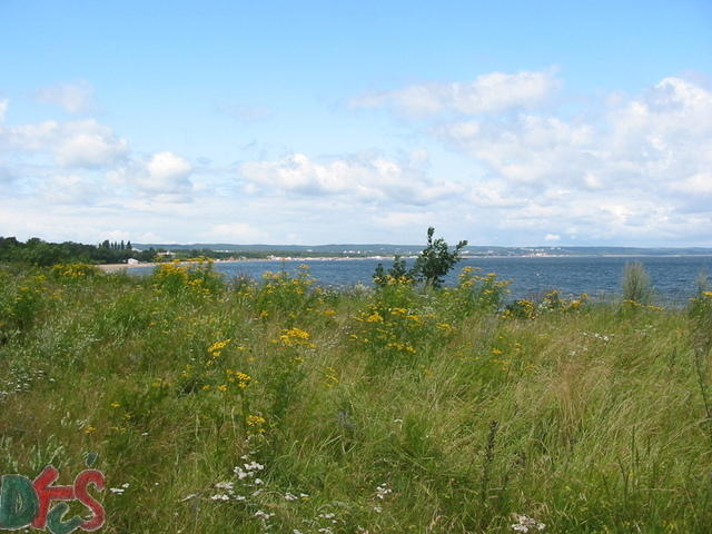 Panorama na plażę i morze z wydmy (okolica strefy wolnocłowej)