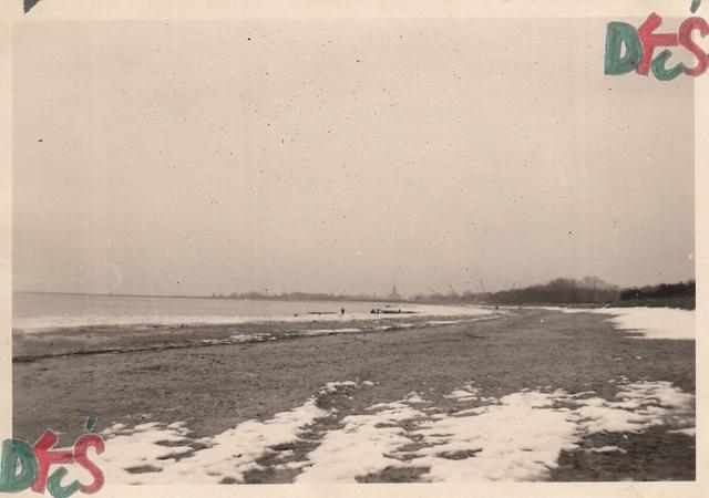 Widok z plaży w Brzeźnie na port